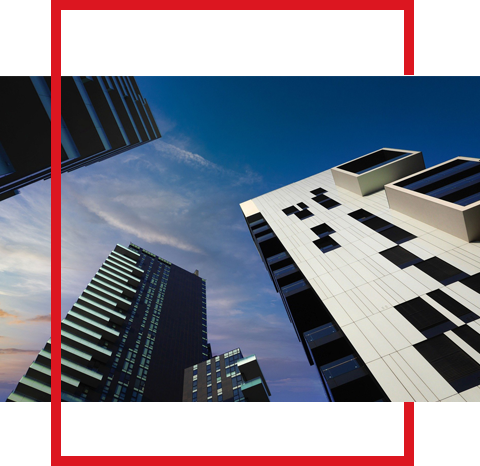 石家庄网络科技